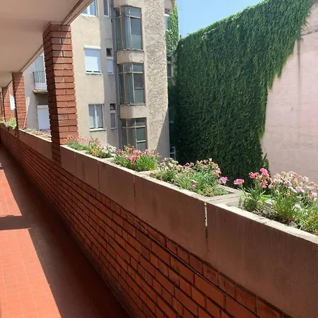 Flat White Apartamento